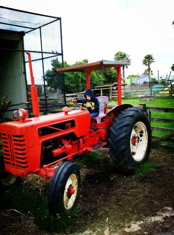 ホテルAuckland Karaka Country Retreat エクステリア 写真